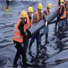 Buy cheap 2.5mm Water Impermeable Membrane Black High Density Polyethylene Pond Liner from wholesalers