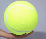 inflatable bouning ball