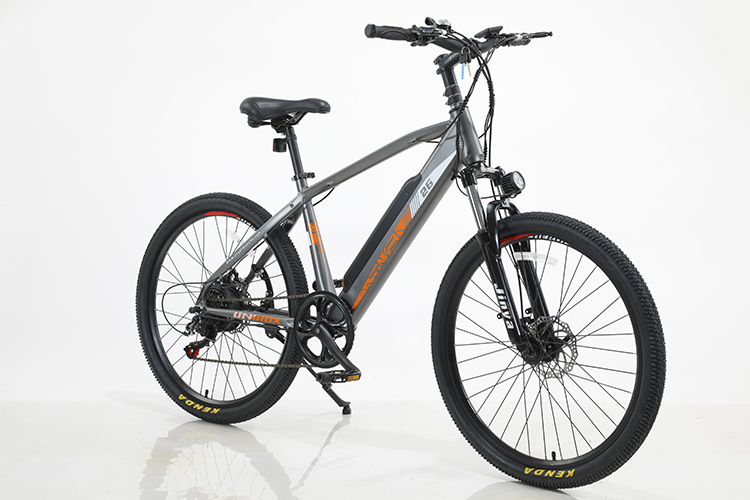 OEM ODM 6 Speed Electric Bicycle With Customized Design And Aluminum Alloy Frame