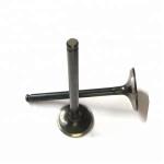 8 Cyl Stainless Steel Engine Valve RD TC Intake & Exhaust Valve 13201-97001