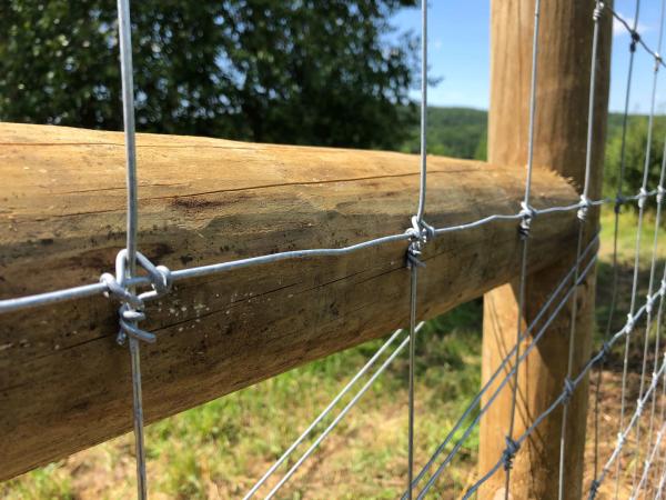 Buy cheap Deer Fixed Knot Fence 1.2m Hinge Joint Cattle Wire Mesh Field Fence from wholesalers