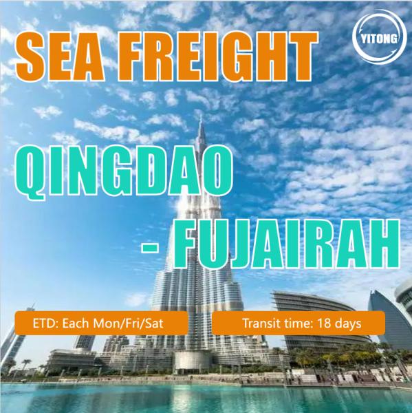 Sea Freight China to Middle East Ports FCL LCL Professional Cheapest Fast