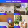 Buy cheap JZ Indoor Bedroom Electric Wall Hanging Fly Catcher Pest Control Purple UV Light Sticky Anti Mosquito Lamp Glue Trapper from wholesalers