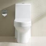 Fully Glazed Trapway Elongated Toilet Low Water Consumption