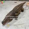 Buy cheap Life Size Animatronic Crocodile Simulation Animals For Zoo Park Decoration from wholesalers