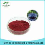 Food Ingredients Fruit Extract 100% Natural Bilberry Extract Powder