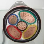 0.6/1KV Copper core PVC insulated PVC sheathed power cable (YJV22)