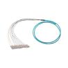 Buy cheap 12 Core SC 3mm Fiber Optic Pigtail , Single Mode / Multimode Pigtail from wholesalers