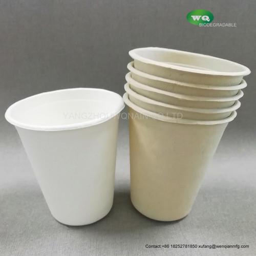 8oz Sugarcane Cup Compostable And Degradable 100% Sugarcane Pulp Cup Paper
