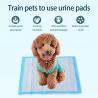 Buy cheap 60*60 Wee Wee Dog Wee Pad 5 Layer Absorbent Pet Training Pee Pad for Urine Absorption from wholesalers
