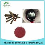 100% Natural Black Carrot Juice Powder