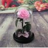 Buy cheap Wholesale Price beauty and the beast roses preserved roses in glass dome from wholesalers