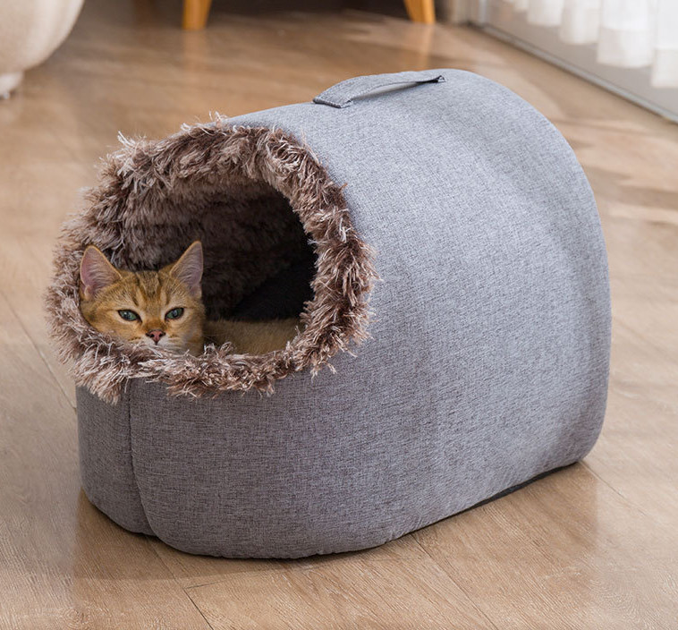 kitten cave
