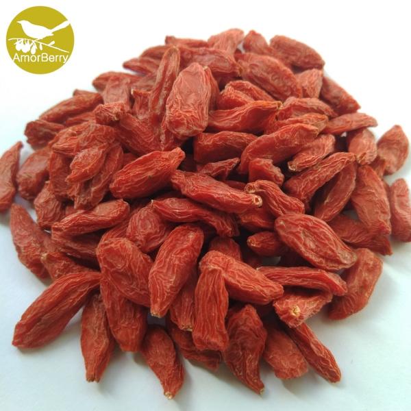 Buy cheap Gou Qi Organic goji berry lycium barbarum polysaccharide wolfberry plant Dried Goji Berry from wholesalers