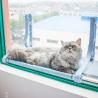 Buy cheap Window Swing Large Cat Hammock Basket Hanging Nest Suction Glass Tray Type from wholesalers