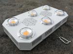 RikoLite 300W Full Spectrum LED Grow Light COB with UV for Indoor Farming Plants