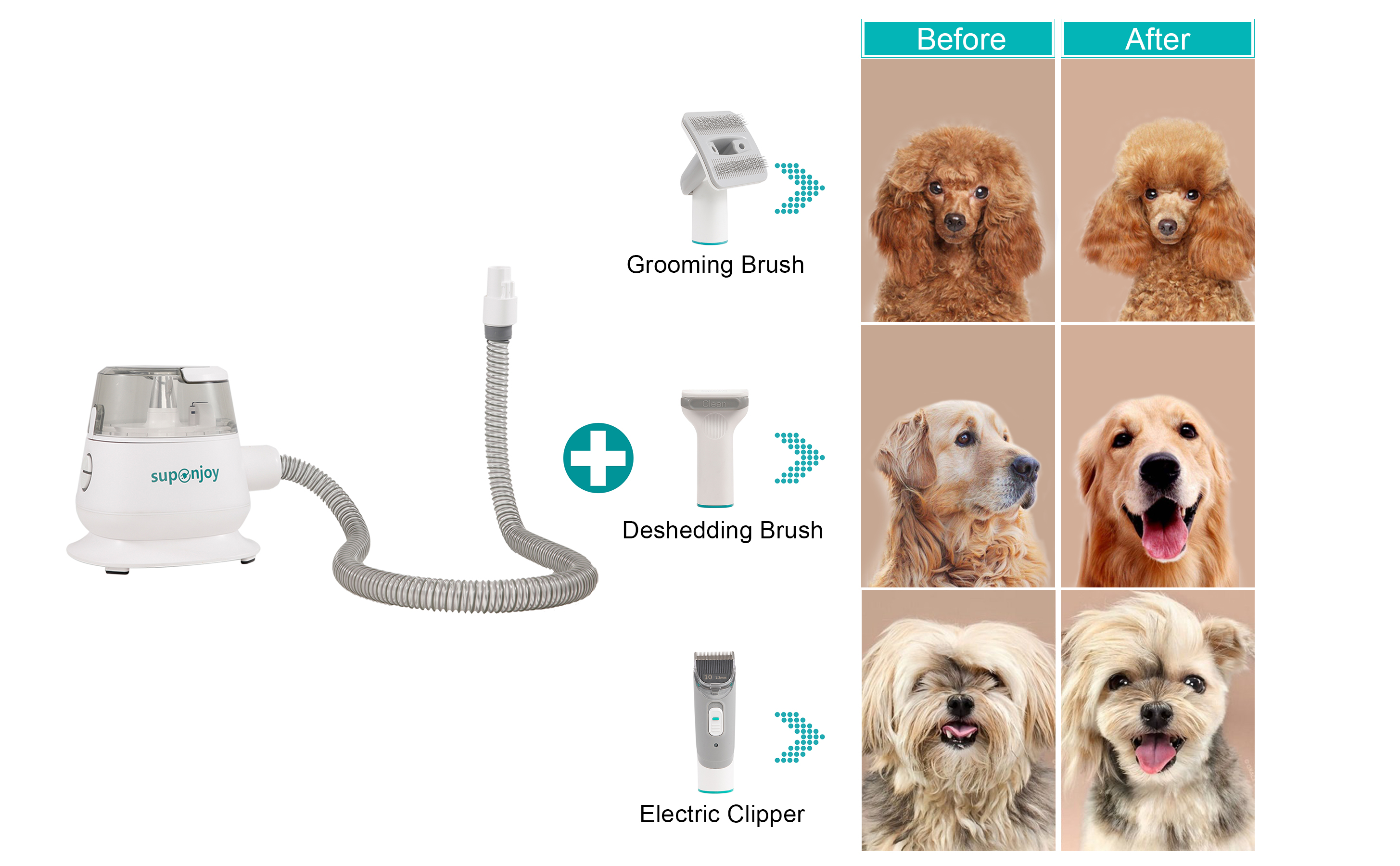 Low Noise Dog Cat Pet Hair Remover Vacuum Cleaner with 1L Dust Bag and 2.5kg N.W/G.W