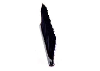 Buy cheap Dustproof Window Seal Brush Elevator Safety Strip Brush UD-SP-0820 from wholesalers