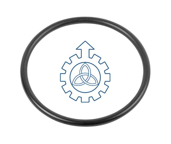 Buy cheap O-ring 504077453,7485103703,85103703 from wholesalers