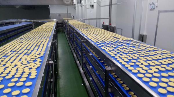 Buy cheap Independent Controlled FDA SUS304 Food Industry Conveyors from wholesalers