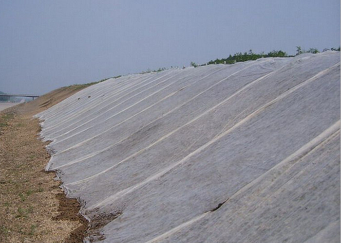 Landscape Black Garden Weed Control Fabric , Polypropylene Plant Protection