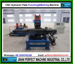 China TOP CNC Hydraulic Plate Punching Machine Supplier Tower Manufacturing