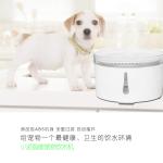 Dog Cat Water Fountain 2L Smart Timed Automatic Pet Feeder