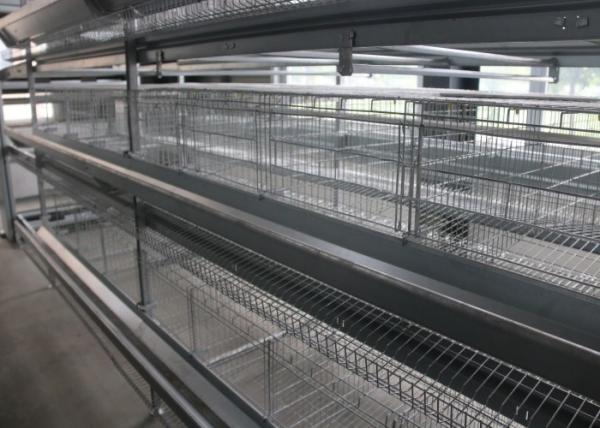 Buy cheap 160 Birds Layer Chicken Cage Automatic Controlling System Q235 Steel Wire Material from wholesalers