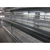Buy cheap 160 Birds Layer Chicken Cage Automatic Controlling System Q235 Steel Wire Material from wholesalers