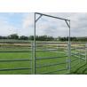 Buy cheap Steel Square Tube Heavy Duty Cattle Panel American Style from wholesalers