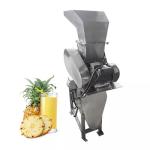 Strawberry Apple Juice Making Machine SUS304 Industrial Carrot Juicer 3W