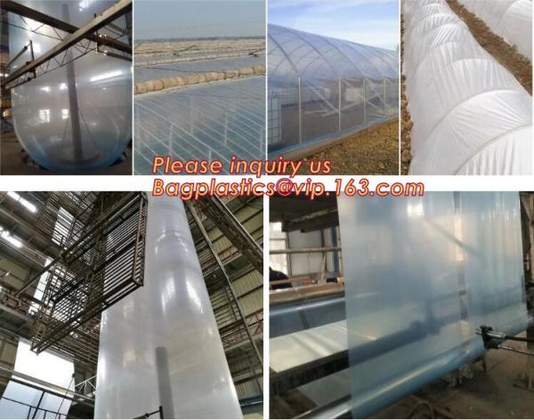 Multi-Span Plastic Film Cover Natural Ventilation Vegetable Greenhouse