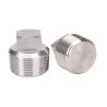Buy cheap 1/2" NPT Male Pipe Fittings , SS304 Solid Square Head Plug from wholesalers