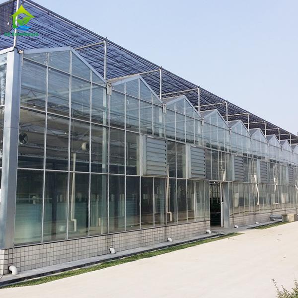 Buy cheap Venlo Commercial Polycarbonate PC Sheet Agricultural Large Tunnel Greenhouse from wholesalers