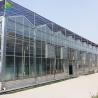 Buy cheap Venlo Commercial Polycarbonate PC Sheet Agricultural Large Tunnel Greenhouse from wholesalers