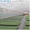 Buy cheap Double Arches Double Film Agricultural Growing 10X50m Single Span Greenhouse from wholesalers