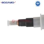 0 445 120 333 Fuel Nozzle Injector 0445 120 333 Common Rail Injection 0445120333
