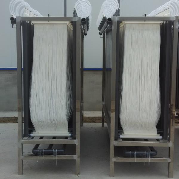 Buy cheap 0.05um PVDF Hollow Fiber MBR Sludge Treatment Hollow Fiber Membrane Module from wholesalers