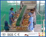 Peach / Apricot / Plum Fruit Juice Production Line Fruit Processing Machinery
