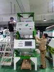 Two Layers Green Black Tea Sorting Machine Removing Yellow Sticks