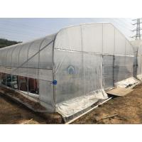 Buy cheap Long Life Span PE PO Plastic Film Roll Up Vents Tunnel Green Houses for product