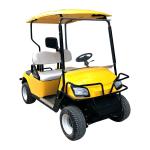 2 Seater Electric Golf Cart White Outdoor Battery Manufacturer Buggy Wholesale