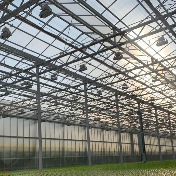 Buy cheap High Light Transmission Glass Commercial Greenhouse Hydroponic Setup for Full Payment from wholesalers