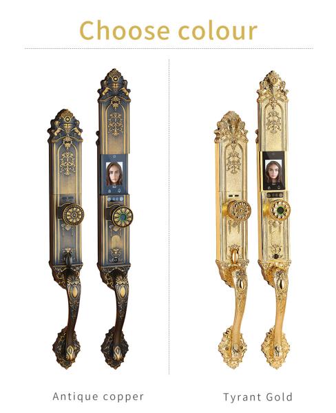 Buy cheap Pure Copper Antique Bronze High Quality Luxury Design Palm Face recognition Fingerprint Smart Door Lock from wholesalers