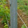 Buy cheap Eco Friendly 3.5M Vineyard Trellis Stakes Low Labor Cost Weather Resistance from wholesalers