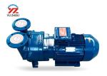 Buy cheap Cast Iron Gear Oil Transfer Pump , Liquid Ring Vacuum Pump For Oil Purifier from wholesalers