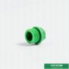 Buy cheap Recyclable Pipe Fittings Ppr Plug , Round Head Polyethylene Pipe Plugs from wholesalers