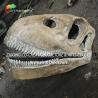 Buy cheap Authentic Personalized Dinosaur Skeleton Model For Outdoor Decoration Shunosaurus Skeleton Replicas from wholesalers