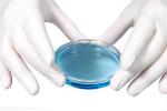 Disposable Ps Cell Culture Dish Round 35mm 60mm 70mm 90mm 100mm 120mm 150mm