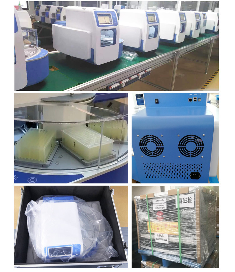 PCR Testing Automated Nucleic Acid Extraction System With Magnetic Beads Separation Technology